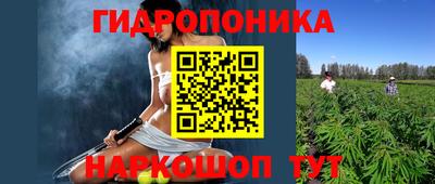 прущие крисы Дубна