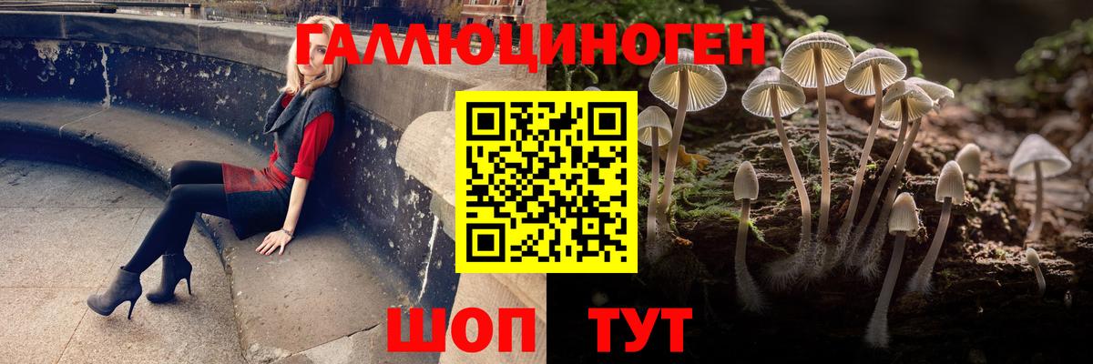 Псилоцибиновые грибы Psilocybe Орехово-Зуево