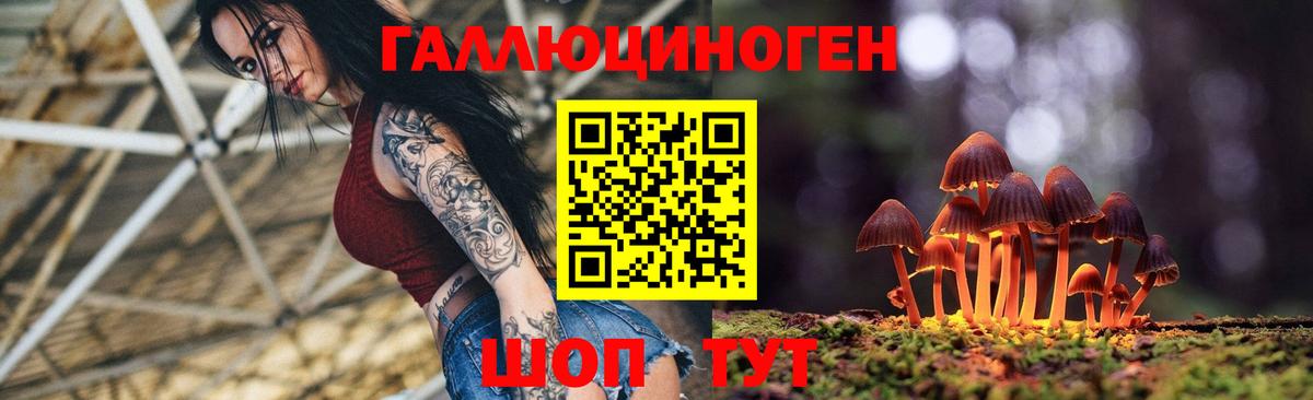 Псилоцибиновые грибы GOLDEN TEACHER  Псилоцибиновые грибы мицелий  Вход с VPN  Орехово-Зуево 