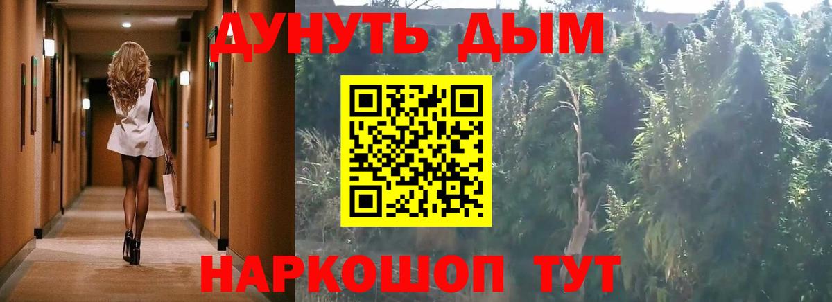 Орехово-Зуево  Конопля план  Бошки марихуана гибрид  Вход с VPN  Марихуана индика 